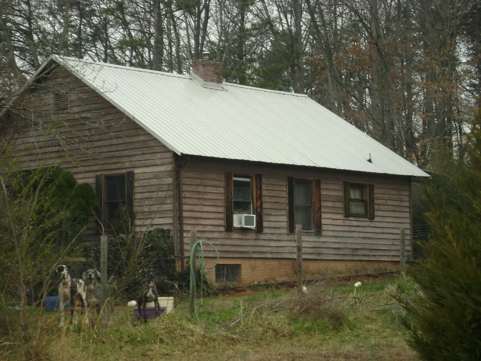 White metal roof on an old wood sided farmhouse, from a Asphalt Shingle Roof Repair job in Cropwell